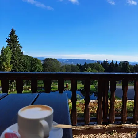 Ferienwohnung Mit Terrasse Im Bayerischen Wald マウト